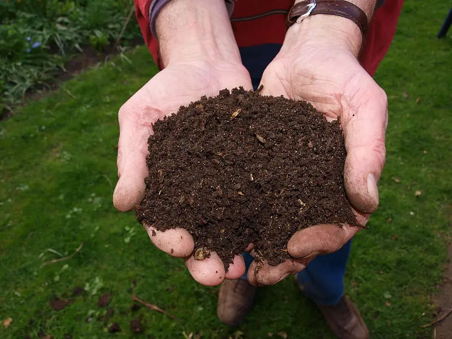 Compostaggio delle potature e scarti biologici