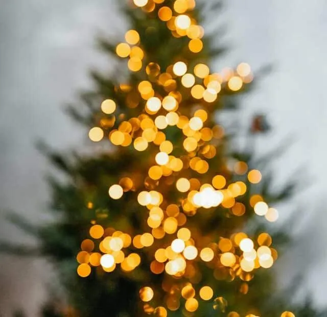 Come smaltire albero di natale
