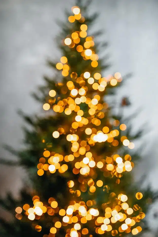 Come smaltire albero di natale