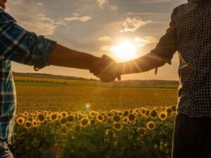 Due persone si stringono la mano in un campo di girasoli al tramonto, simbolo di una consulenza agronomica